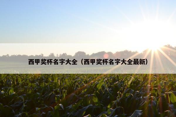 西甲奖杯名字大全（西甲奖杯名字大全最新）