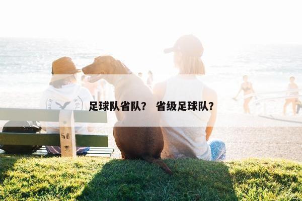 足球队省队？ 省级足球队？