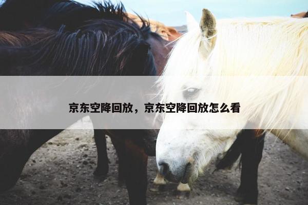 京东空降回放，京东空降回放怎么看