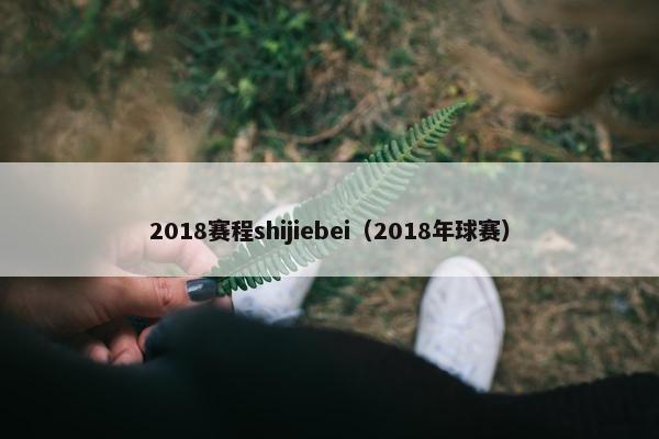 2018赛程shijiebei（2018年球赛）