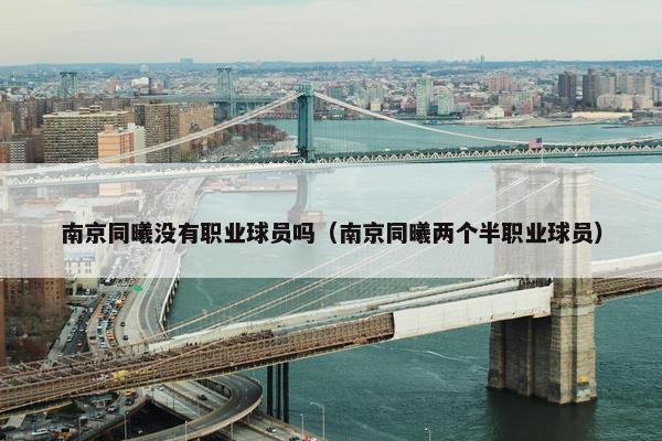 南京同曦没有职业球员吗（南京同曦两个半职业球员）