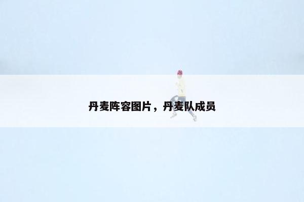 丹麦阵容图片，丹麦队成员