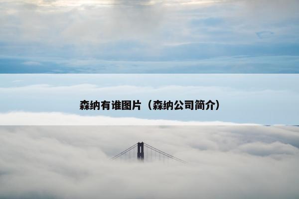森纳有谁图片（森纳公司简介）