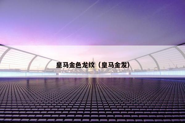 皇马金色龙纹（皇马金发）