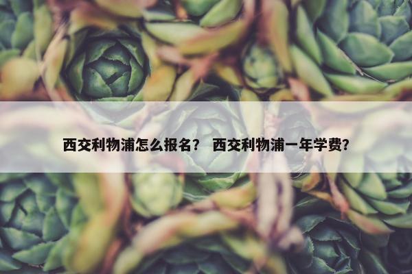 西交利物浦怎么报名？ 西交利物浦一年学费？