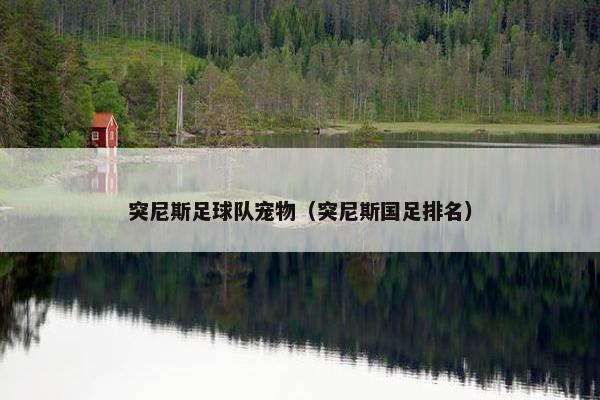 突尼斯足球队宠物（突尼斯国足排名）