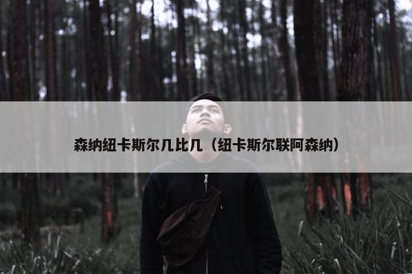 森纳纽卡斯尔几比几（纽卡斯尔联阿森纳）