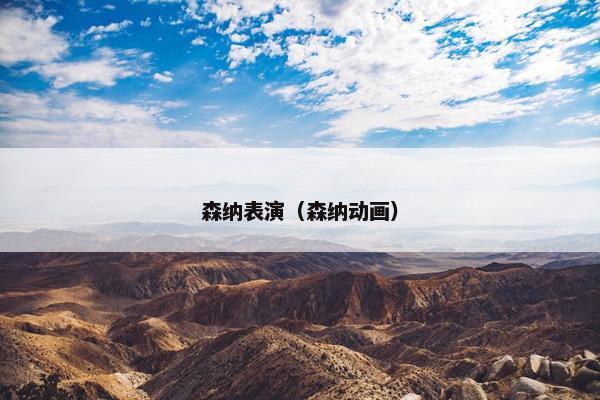 森纳表演（森纳动画）