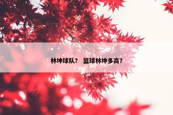 林坤球队？ 篮球林坤多高？