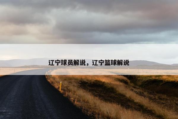 辽宁球员解说，辽宁篮球解说