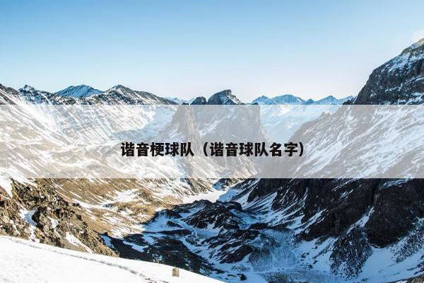 谐音梗球队（谐音球队名字）