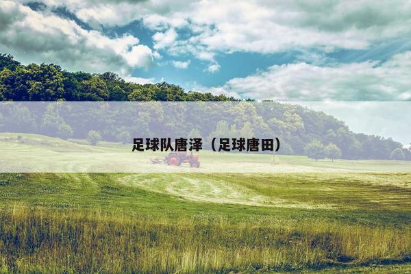 足球队唐泽（足球唐田）