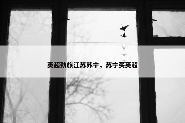 英超劲旅江苏苏宁，苏宁买英超