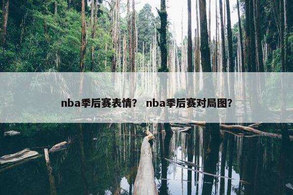 nba季后赛表情？ nba季后赛对局图？