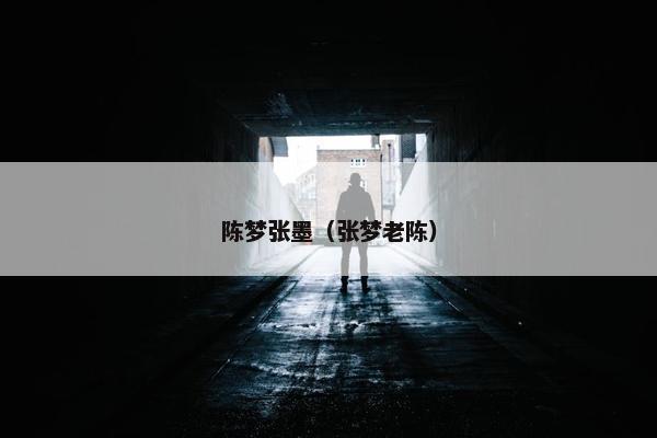 陈梦张墨（张梦老陈）