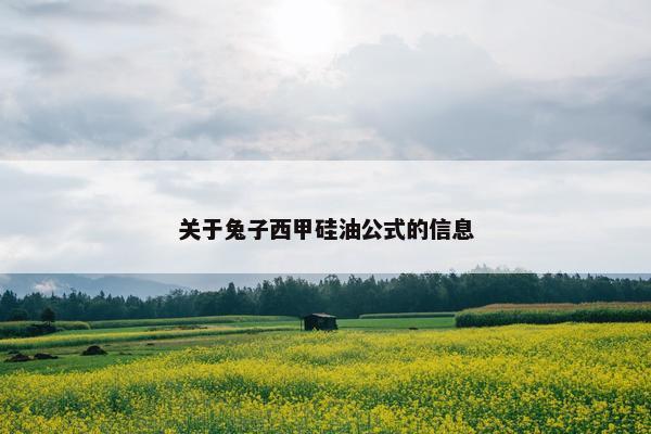 关于兔子西甲硅油公式的信息