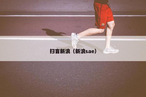 扫盲新浪（新浪sae）
