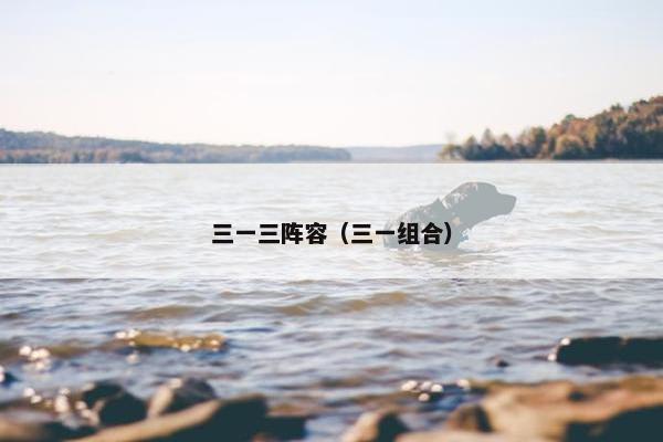 三一三阵容（三一组合）