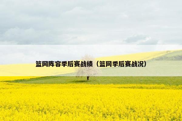 篮网阵容季后赛战绩（篮网季后赛战况）