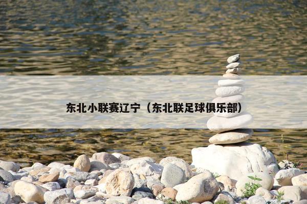 东北小联赛辽宁（东北联足球俱乐部）
