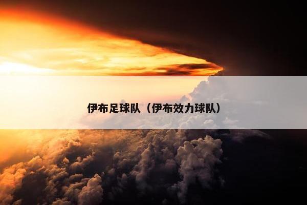 伊布足球队（伊布效力球队）