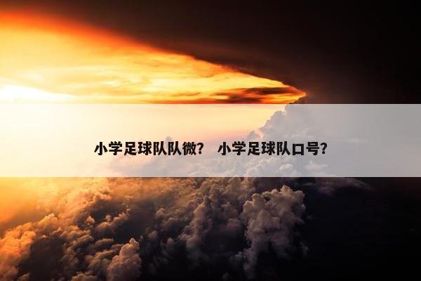 小学足球队队微？ 小学足球队口号？