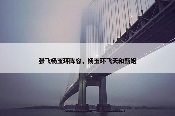 张飞杨玉环阵容，杨玉环飞天和甄姬