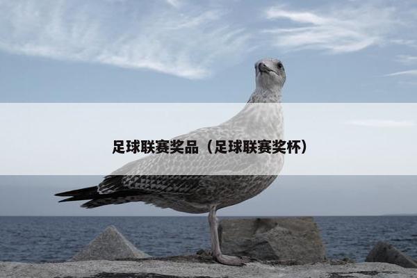 足球联赛奖品（足球联赛奖杯）