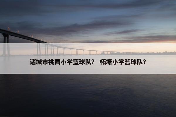 诸城市桃园小学篮球队？ 柘塘小学篮球队？