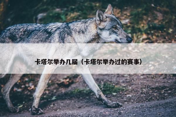 卡塔尔举办几届（卡塔尔举办过的赛事）