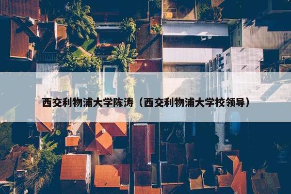 西交利物浦大学陈涛（西交利物浦大学校领导）