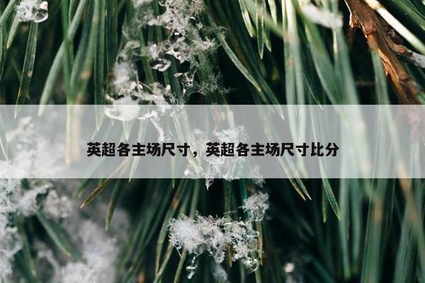 英超各主场尺寸，英超各主场尺寸比分