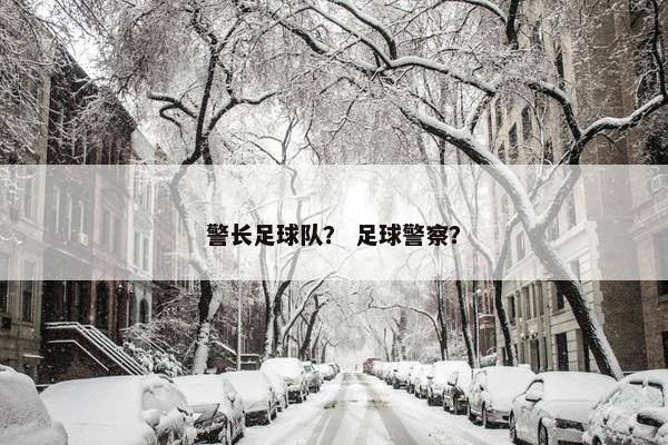 警长足球队？ 足球警察？