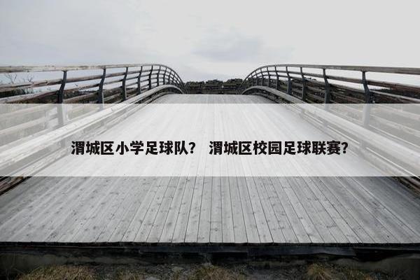 渭城区小学足球队？ 渭城区校园足球联赛？