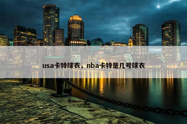 usa卡特球衣，nba卡特是几号球衣