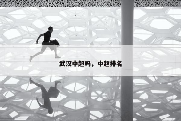 武汉中超吗，中超排名