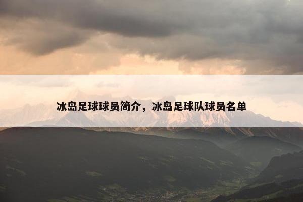 冰岛足球球员简介，冰岛足球队球员名单