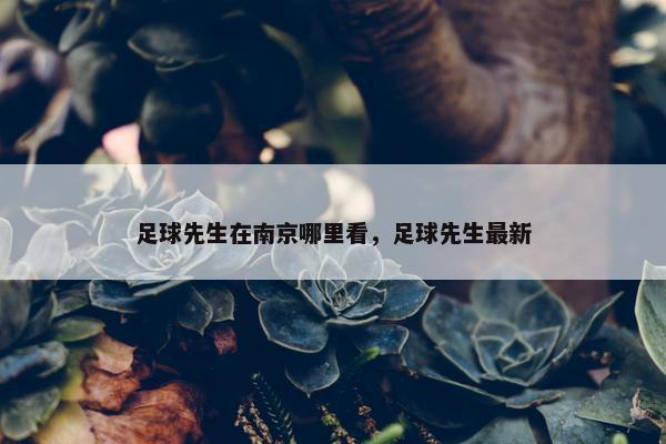 足球先生在南京哪里看，足球先生最新