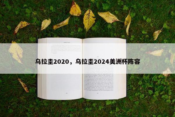 乌拉圭2020，乌拉圭2024美洲杯阵容
