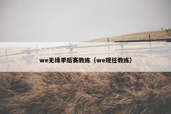 we无缘季后赛教练（we现任教练）