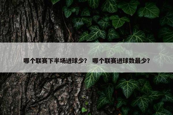 哪个联赛下半场进球少？ 哪个联赛进球数最少？