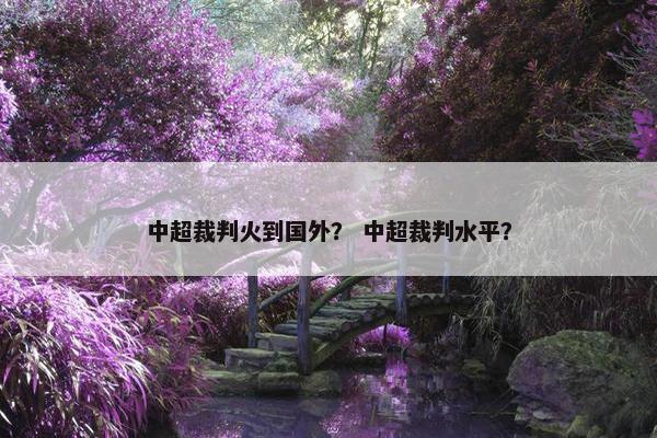 中超裁判火到国外？ 中超裁判水平？