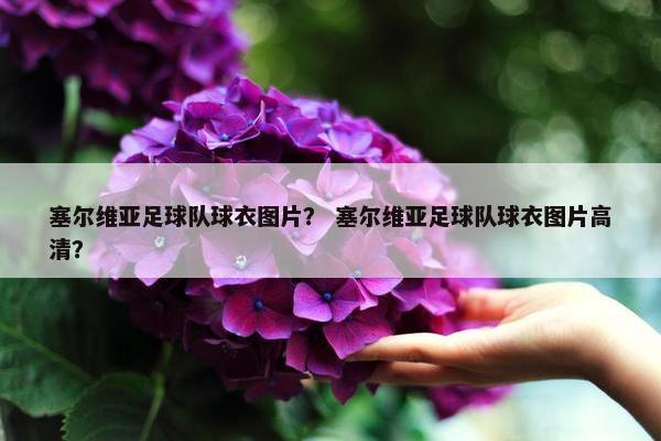 塞尔维亚足球队球衣图片？ 塞尔维亚足球队球衣图片高清？
