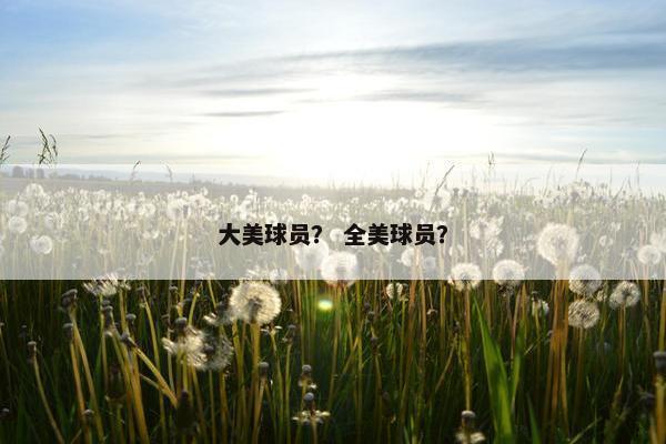 大美球员？ 全美球员？