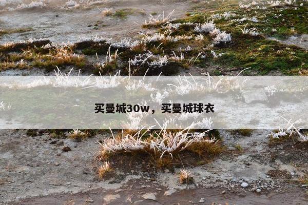 买曼城30w，买曼城球衣