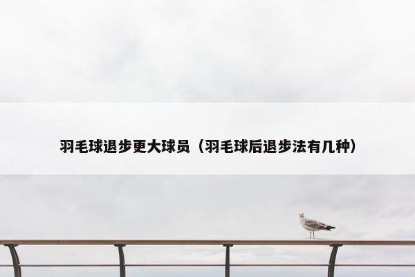 羽毛球退步更大球员（羽毛球后退步法有几种）