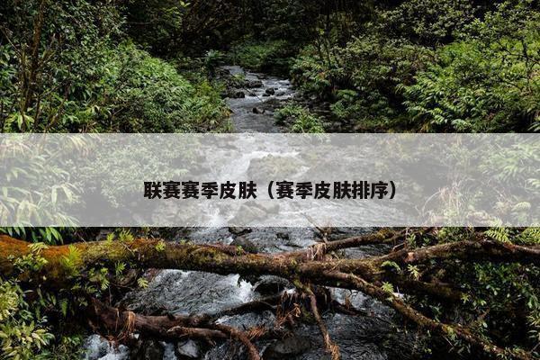 联赛赛季皮肤（赛季皮肤排序）