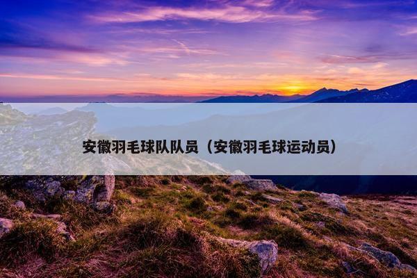 安徽羽毛球队队员（安徽羽毛球运动员）