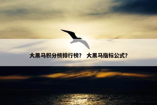 大黑马积分榜排行榜？ 大黑马指标公式？