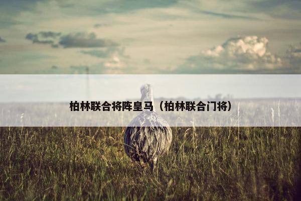 柏林联合将阵皇马（柏林联合门将）